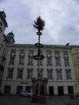 Linz - Hauptplatz - Arbre de mai